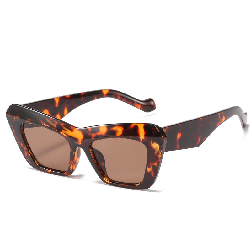 Gafas de sol al por mayor de las señoras del ojo de gato del triángulo de la PC